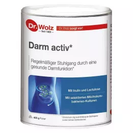 DARM ACTIV Dr.Wolz-jauhe, 400 g
