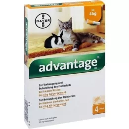 ADVANTAGE 40 mg liuos pienille kissoille / pienille lemmikkikaneille, 4X0,4 ml