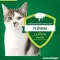Advantage 80 suurille kissoille ja koristekaneille alkaen 4 kg, 4X0,8 ml