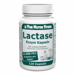LACTASE 12 000 FCC Entsyymikapselit, 120 kpl