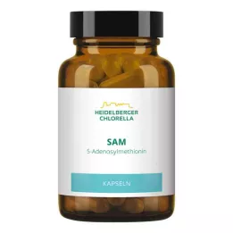 SAM S-ADENOSYLMETHIONIN Kapselit, 60 kpl