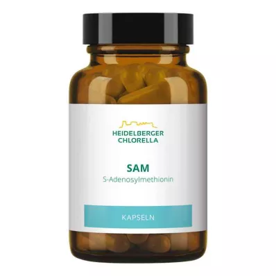 SAM S-ADENOSYLMETHIONIN Kapselit, 60 kpl