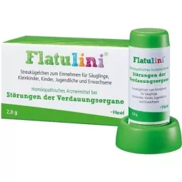 FLATULINI Pallot, 2 g