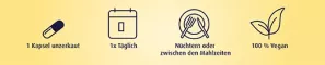Instructions for use for B-vitamiinikompleksi + Biotin Forte kapselit, 90 kpl - 2