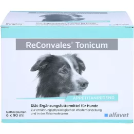 RECONVALES Tonic koirille, 6X90 ml