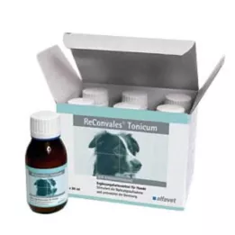 RECONVALES Tonic koirille, 6X90 ml