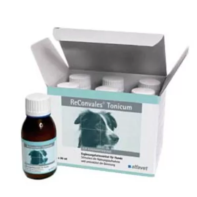 RECONVALES Tonic koirille, 6X90 ml