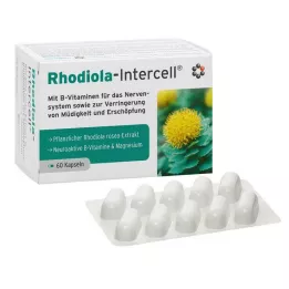 RHODIOLA-INTERCELL Kapselit, 60 kpl