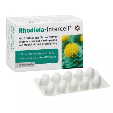 RHODIOLA-INTERCELL Kapselit, 60 kpl