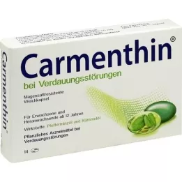 CARMENTHIN ruoansulatushäiriöihin msr.soft caps., 14 kpl