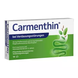 CARMENTHIN ruoansulatushäiriöihin msr.soft caps., 14 kpl
