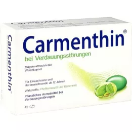 CARMENTHIN ruoansulatusvaivoihin msr.soft caps., 42 kpl