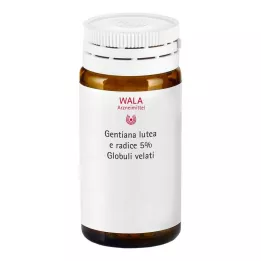 GENTIANA LUTEA 5-prosenttinen emätintinktuura globuli velati, 20 g