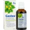 GASTEO Suun kautta annettavat tipat, 50 ml