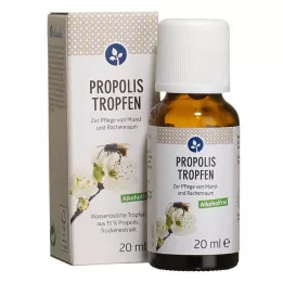 PROPOLIS TROPFEN ilman alkoholia, 20 ml