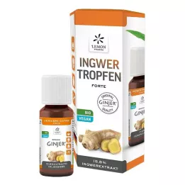 INGWER GINJER forte-tipat, 20 ml