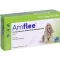 AMFLEE 134 mg pistemäinen liuos keskikokoisille koirille 10-20 kg, 3 kpl