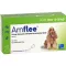 AMFLEE 134 mg pistemäinen liuos keskikokoisille koirille 10-20 kg, 3 kpl