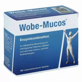 WOBE-MUCOS enteropäällysteiset tabletit, 120 kpl