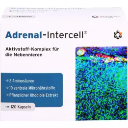 ADRENAL-Intercell-kapselit, 120 kapselia