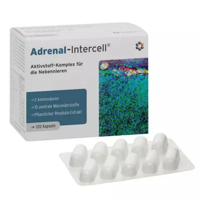 Adrenal-Intercell kapselit, 120 kpl