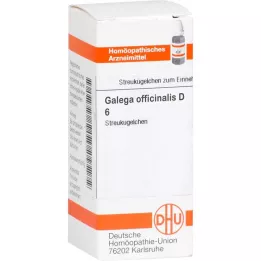 GALEGA officinalis D 6 palloa, 10 g