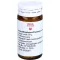 ARNICA/EPIPHYSIS/PLUMBUM comp.B-pallot, 20 g