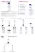 Instructions for use for Eucerin UreaRepair Original Lotion 3%, 250 ml - 2