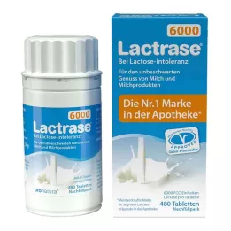 LACTRASE 6,000 FCC Tbl.click -annostelijan täydennys, 480 kpl