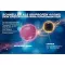 THOMAPYRIN TENSION DUO 400 mg/100 mg kalvopäällysteiset tabletit, 12 kpl