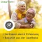 Ginkgo-Maren 240 mg kalvopäällysteiset tabletit, 60 kpl