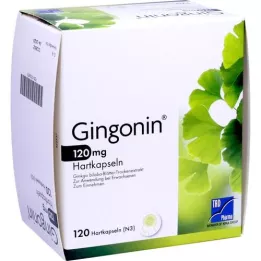 GINGONIN 120 mg kovat kapselit, 120 kpl