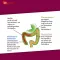 PROBIOCOLON Painonalennus Dr.Wolz-jauhe, 315 g