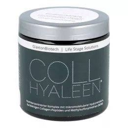 COLLHYALEEN Jauhe oraaliliuosta varten, 180 g