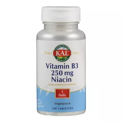 VITAMIN B3 NIACIN 250 mg tabletit, 100 kpl