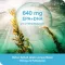 OMEGA3-Loges kasviskapselit, 120 kpl