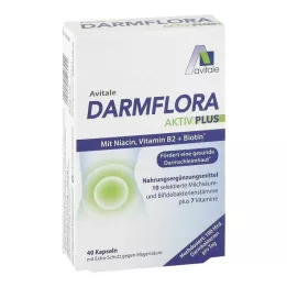 DARMFLORA Active Plus 100 miljardia bakteeria+7 vitamiinia, 40 kpl