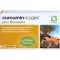 CURCUMIN-LOGES plus Boswellia-kapselit, 60 kapselia