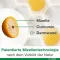 Curcumin-Loges plus Boswellia kapselit, 60 kpl