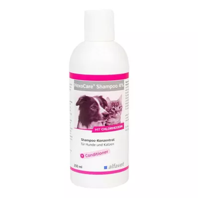 Hexocare Shampoo 4% koirille ja kissoille, 250 ml Hexocare Shampoo 4% koirille ja kissoille, 250 ml