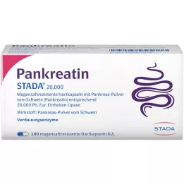 PANKREATIN STADA 20.000 enterokovaa kapselia, 100 kpl