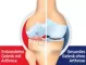 Instructions for use for GELENCIUM® arthro-tipat, 100 ml - 2
