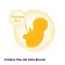 FEMIBION 1 Fertility+Early pregnancy ilman joditabletteja, 60 kpl