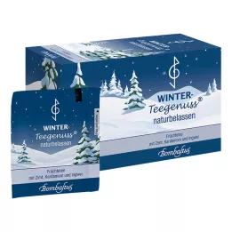 WINTER-TEEGENUSS Kaneli-kardemumma-inkivääri-inkiväärisuodatinpussi, 20X2.5 grammaa