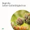 GALLEXIER Yrttikatkerot Elixir Salus Flü.z.E., 250 ml