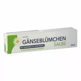GÄNSEBLÜMCHEN Noitavoidetta sisältävä voide &amp; Panthenol, 50 ml