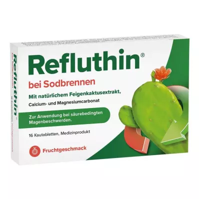 REFLUTHIN närästykseen Purutabletit hedelmä, 16 kpl