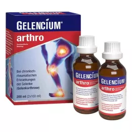 GELENCIUM nivelten seos, 2X100 ml