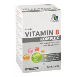 VITAMIN B KOMPLEX kapselia, 120 kpl