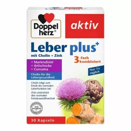 DOPPELHERZ Maksa plus koliini+sinkkikapselit, 30 kpl